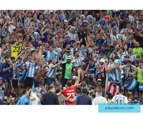 2026世界杯举办国家揭秘赛事看点与球迷期待全解析